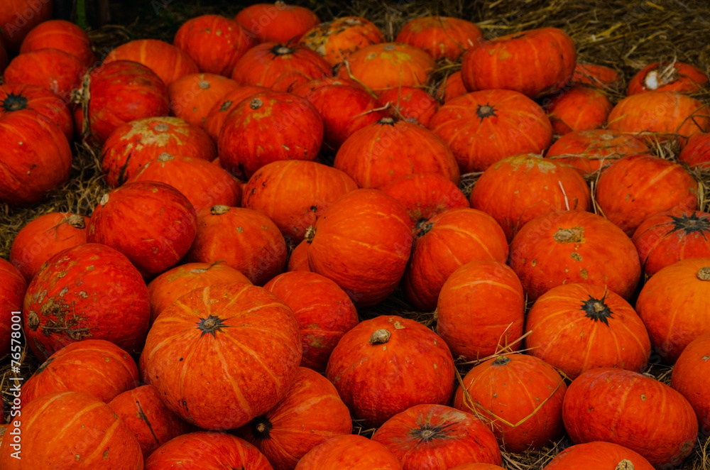 Small pumpkins