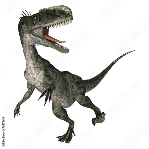 Dinosaur Monolophosaurus