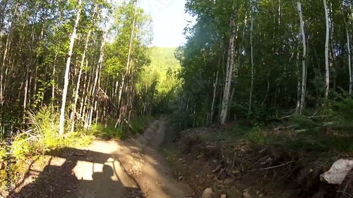 Alaska Forrest ATV photo