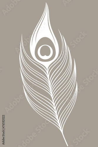 White peacock. Feather