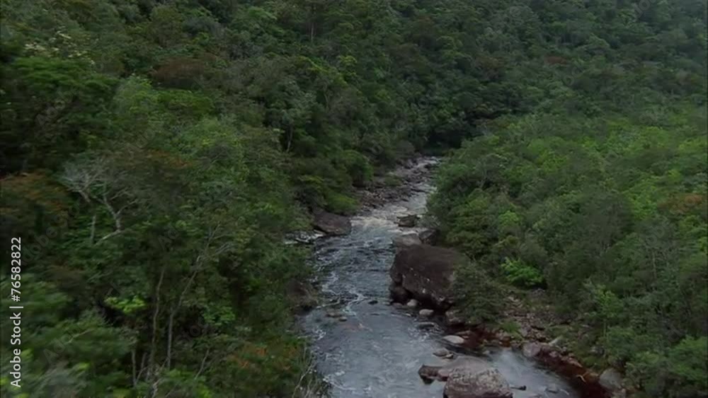 Rainforest River Rainforest River