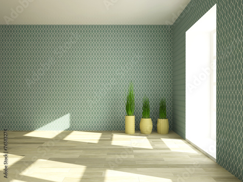 Plant near the wall