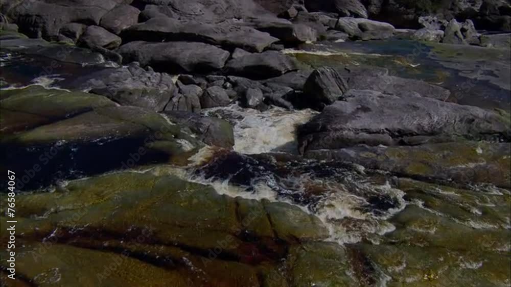 River Trees Forest Water Rocky River Trees Forest Water Rocky