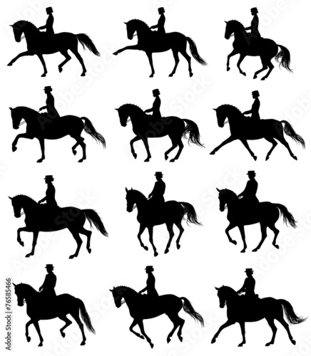 Fototapeta Naklejka Na Ścianę i Meble -  Set of 12 dressage horses with rider