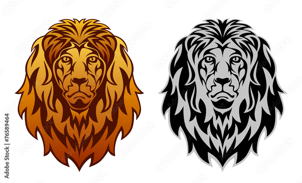 Lion head Lion head