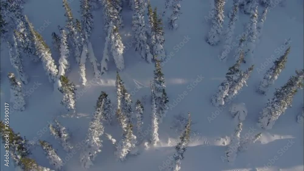 snow trees sunrise sunset wind snow trees sunrise sunset wind