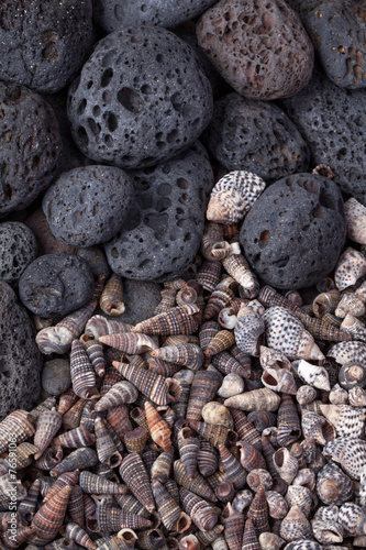 Beach stones and shells