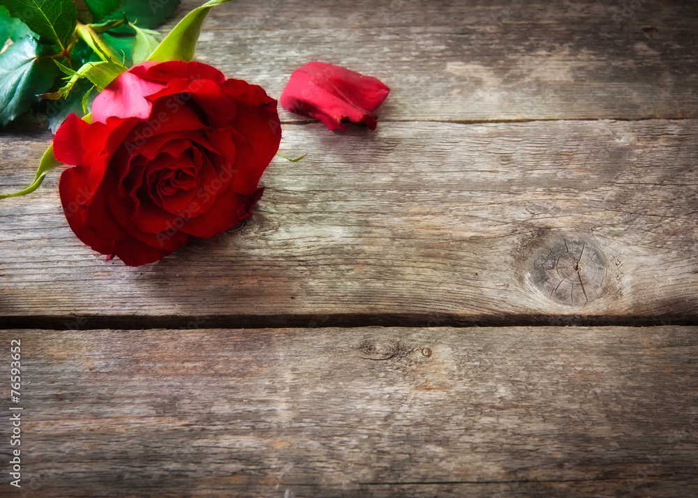 Valentine's day background with red roses