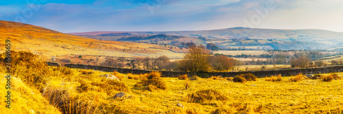 Dartmoor Panorama