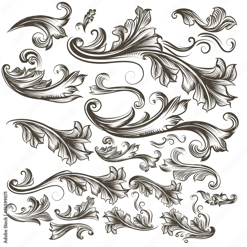 Collection of vector hand drawn floral swirls for design