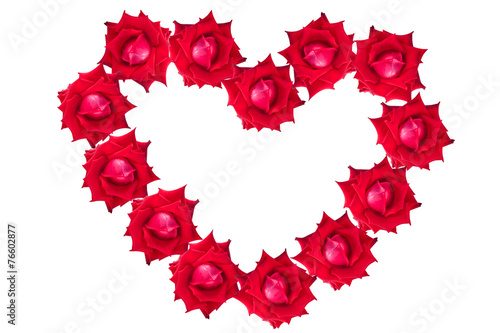 red rose flower of heart