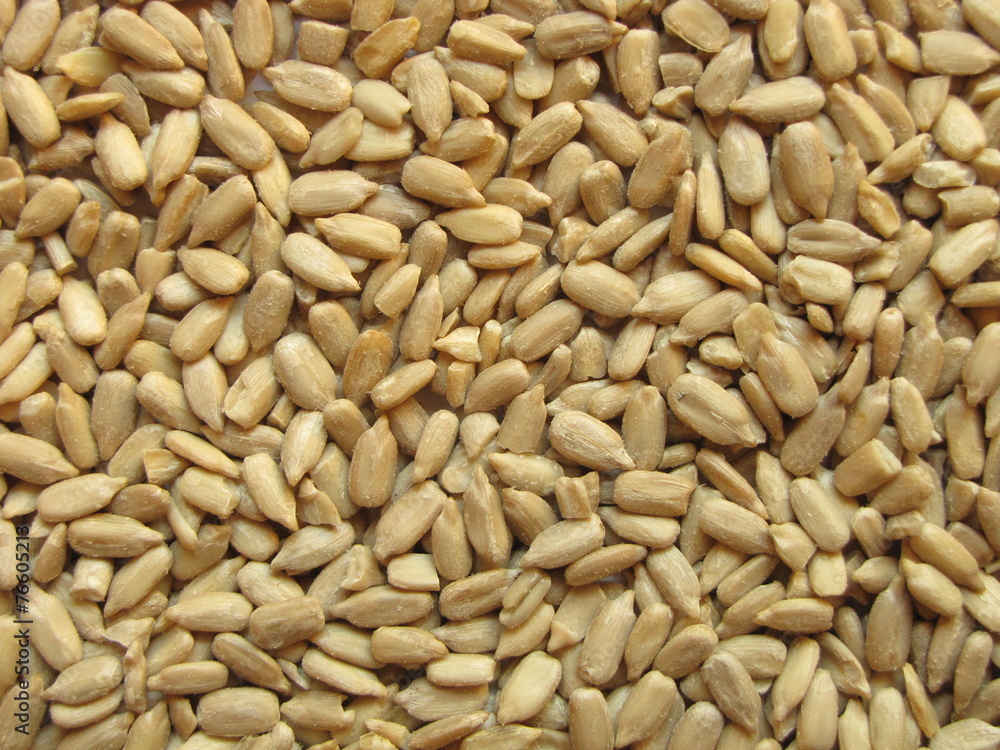 Semillas de Girasol / Sunflower seeds Semillas de Girasol / Sunflower seeds
