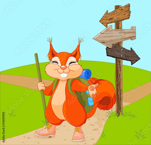 Funny squirrel for a walk