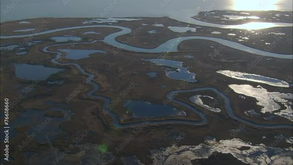 Aerial Marshlands Delta