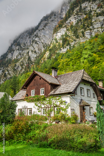 Small cottage in the Alps with a tree