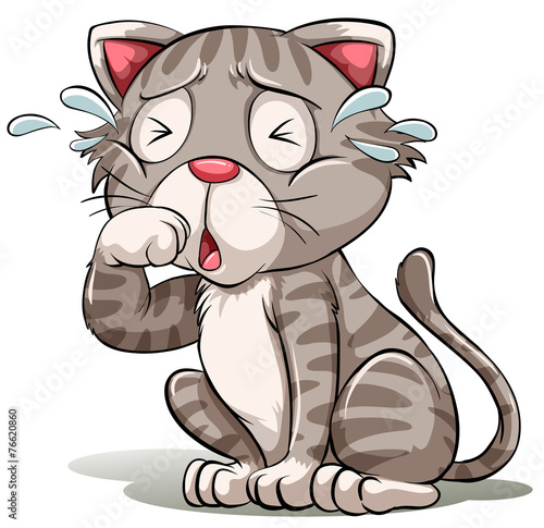A crying cat