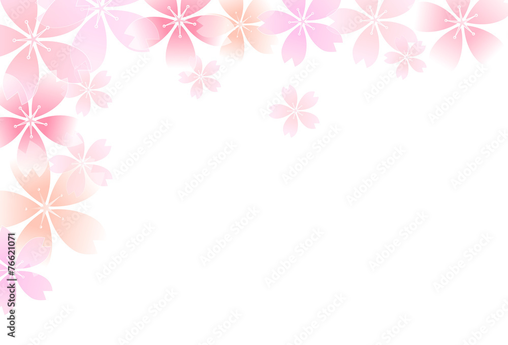 桜 花 背景 桜 花 背景