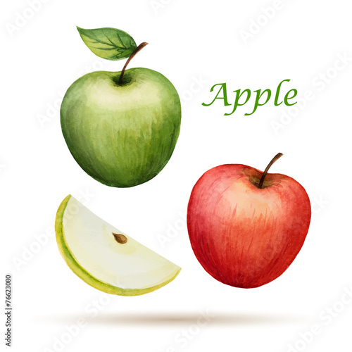 Watercolor Apple