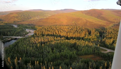 Alaska Hills Greenery photo