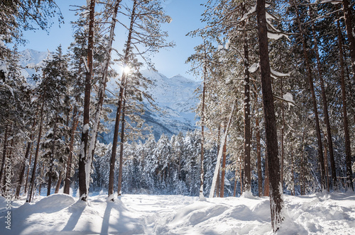 Fototapeta Naklejka Na Ścianę i Meble -  Winter forest and mountains at sunny day