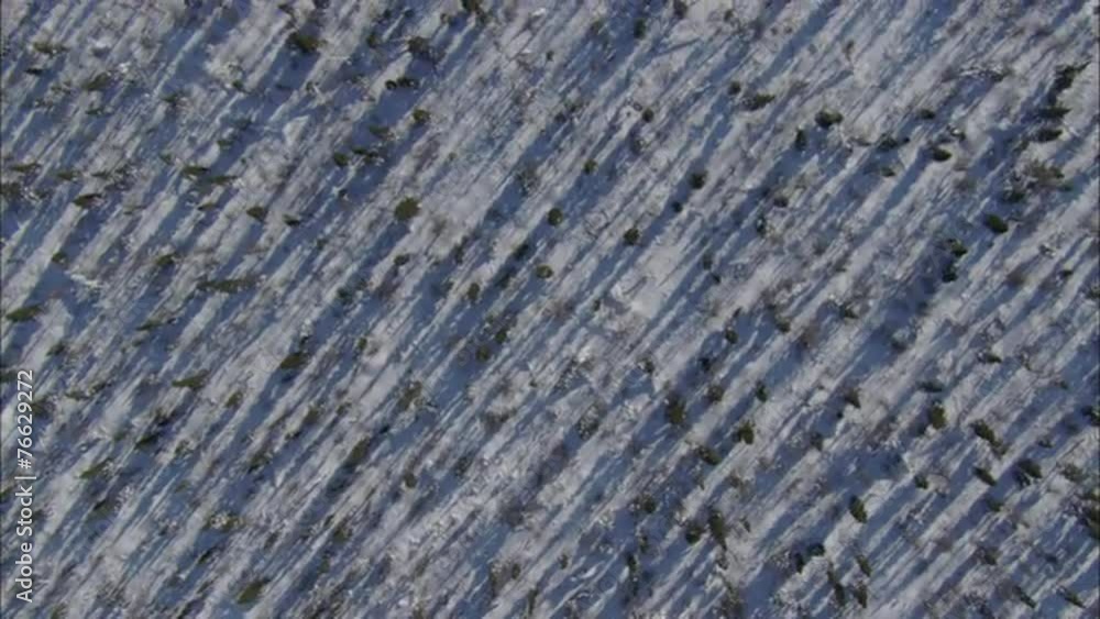 Frozen Tundra Frozen Tundra