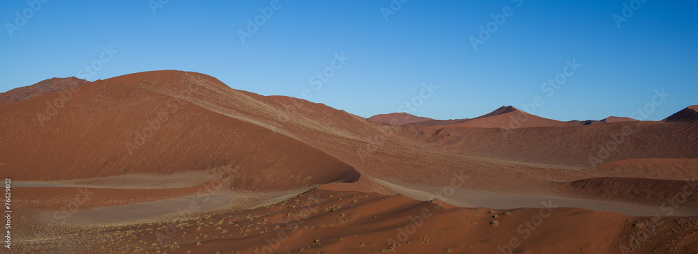 Naklejka premium Deserto