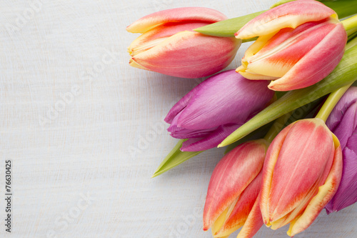 Fototapeta Naklejka Na Ścianę i Meble -  Tulip.