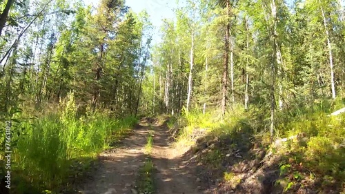 Alaska Forrest ATV photo