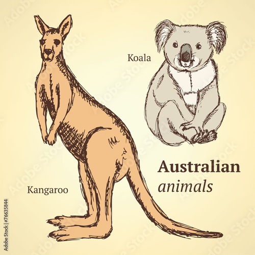 Photography Sketch Australian animals in vintage style