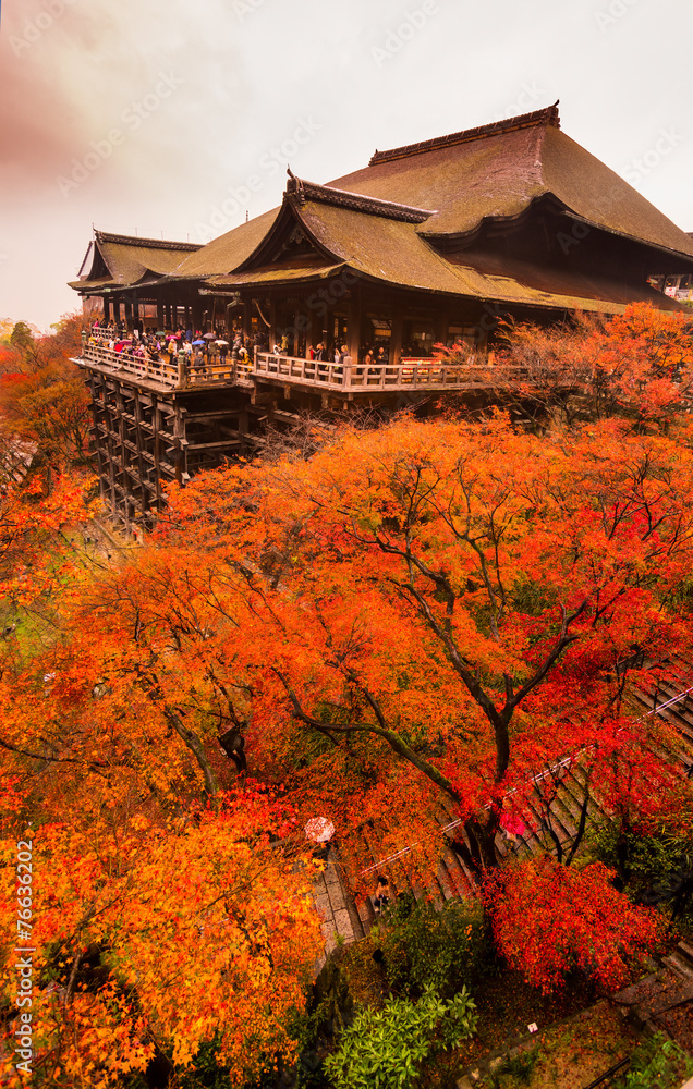 Naklejka premium Kiyomizu-dera Temple in Kyoto, Japan