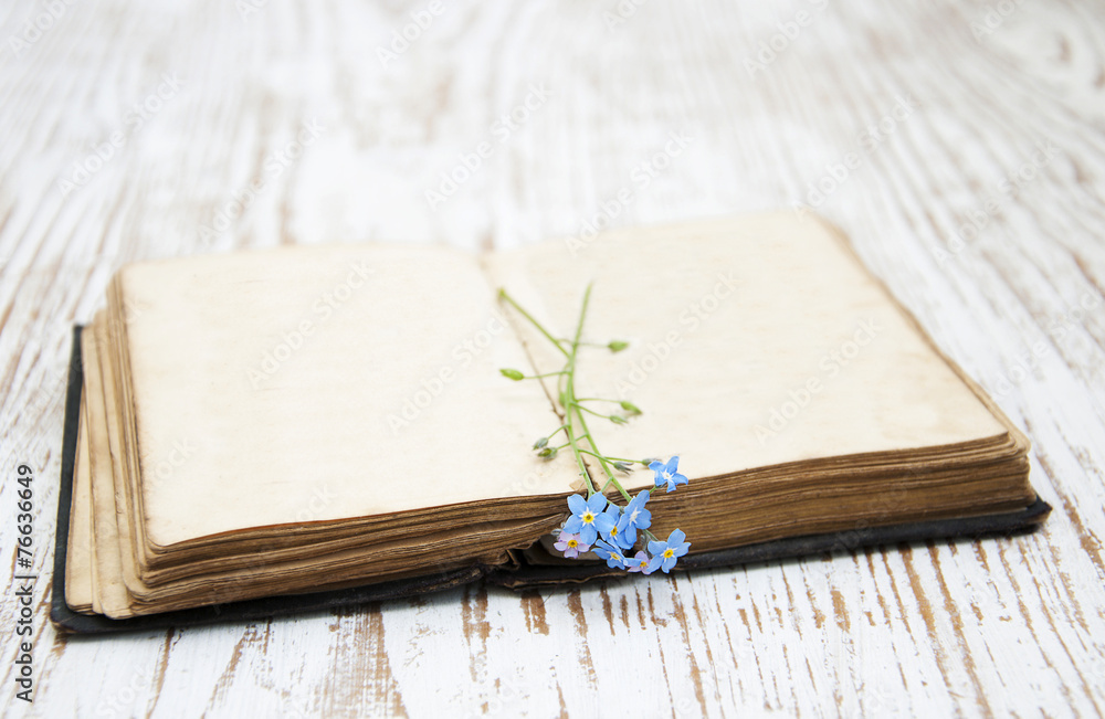 Obraz premium Old Book