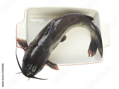 Channel catfish in a ceramic baking dish cooking isolated on whi