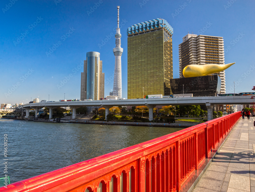 Naklejka premium Tokyo skyline, Japan.