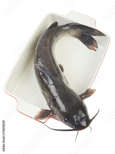 Channel catfish in a ceramic baking dish cooking isolated on whi