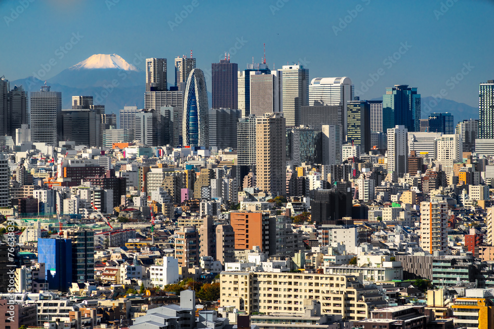 Fototapeta premium Panoramę Tokio, Japonia.
