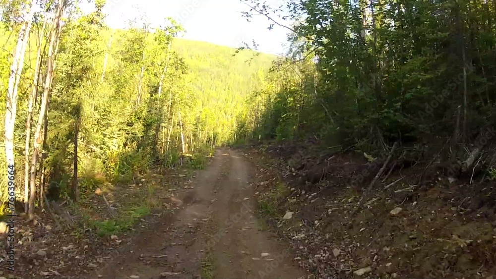 Alaska Forrest ATV Alaska Forrest ATV