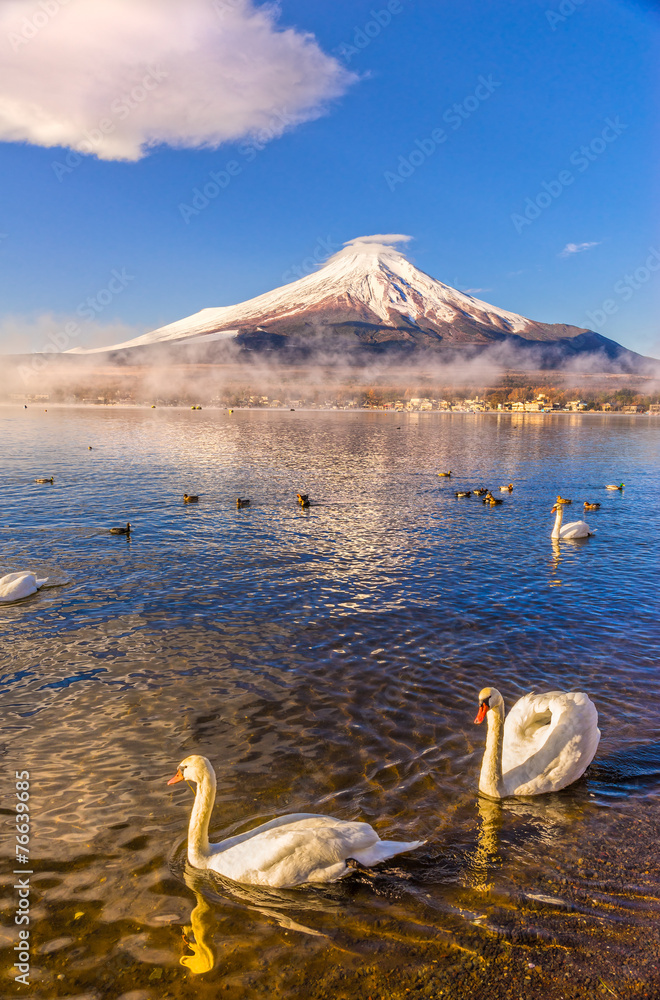 Fototapeta premium Mount Fuji, Japan.