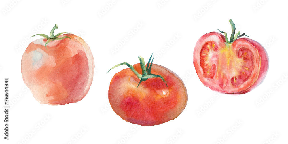 tomatoes tomatoes