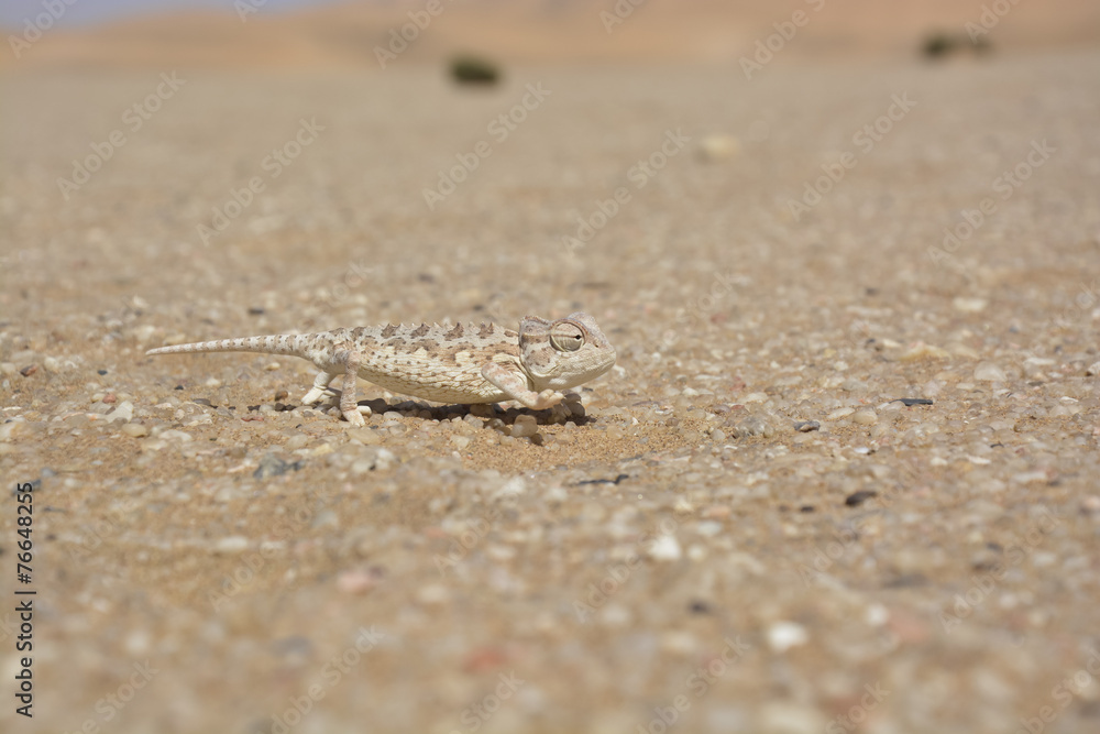 Namibwüste nahe Swakopmund, Namibia, Afrika