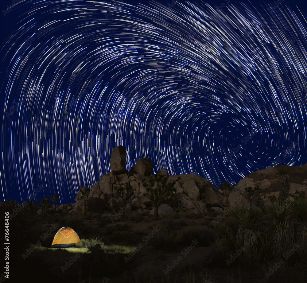 Fototapeta premium Long Exposure Star Trails In Joshua Tree National Park