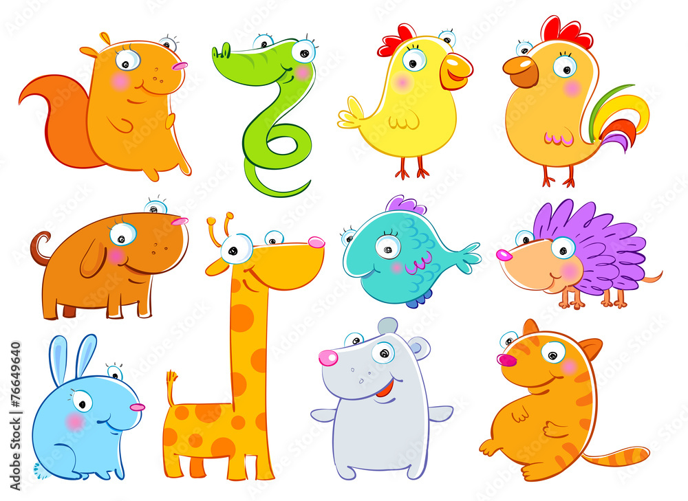 Animals