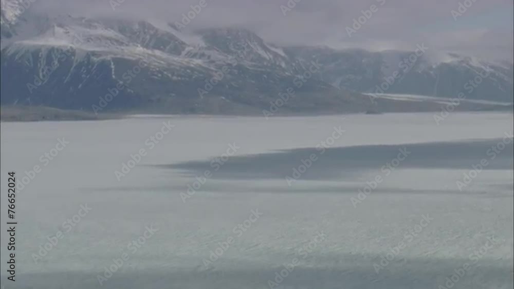 Arctic Tundra Polar Bears Arctic Tundra Polar Bears