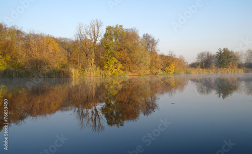 River landscape and  autumn wood