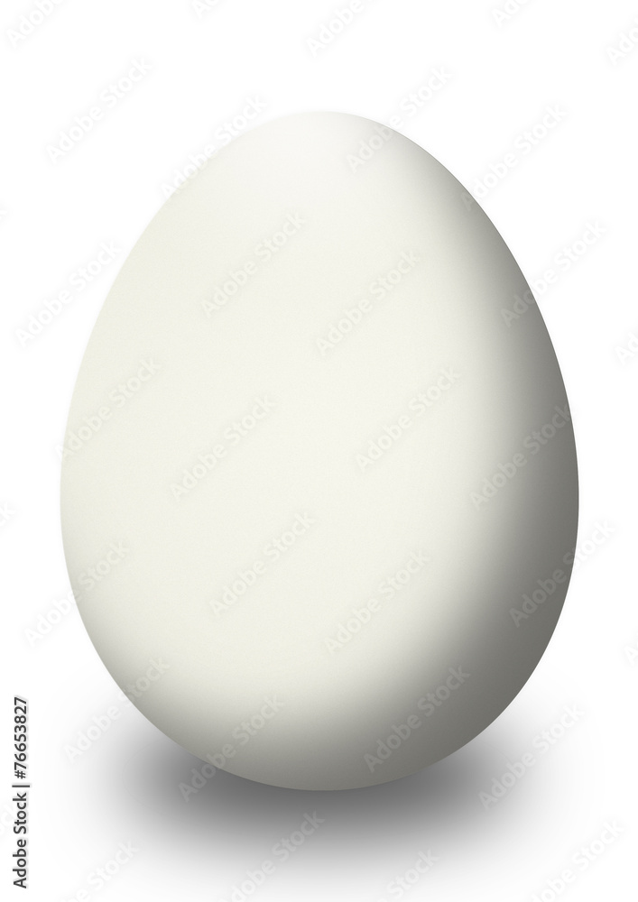 egg isolated on white egg isolated on white