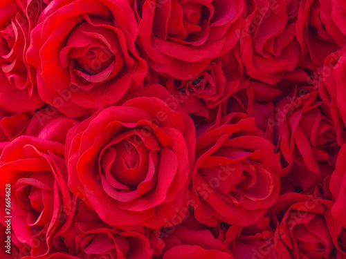 the artificial red rose texture pattern