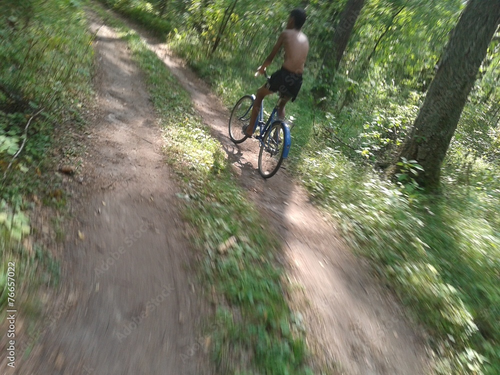 Cycling in the forest Cycling in the forest