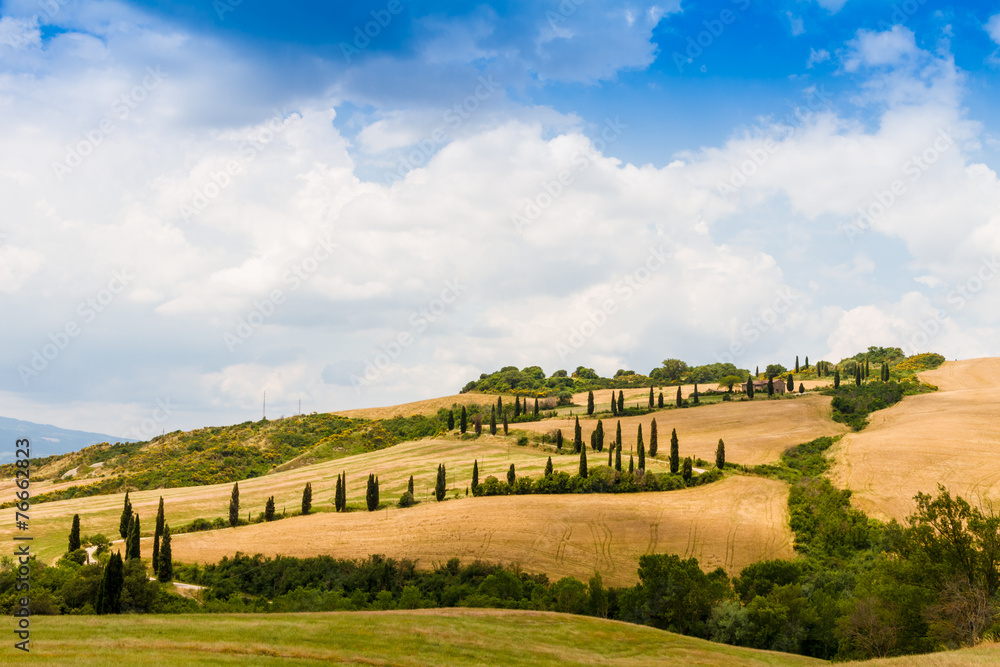 winding road flanked with cypresses in crete senesi Tuscany, Ita winding road flanked with cypresses in crete senesi Tuscany, Ita