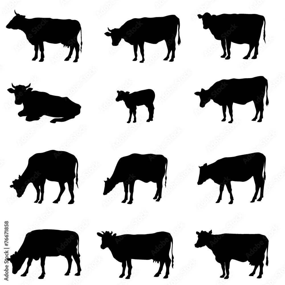 Cow set. Vector farm livestock. animal silhouette collection. 