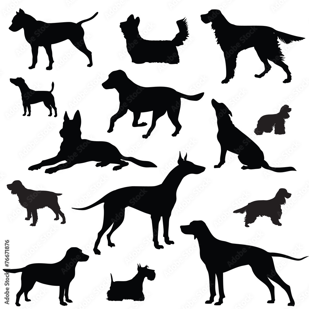 Dog set. Collection of vector silhouette