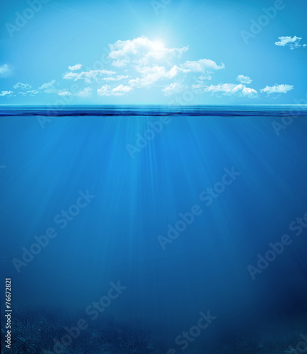 tropical underwater scene © adimas